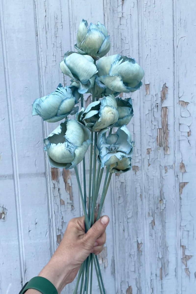 Preserved Floral |   Palm Cap Baby Blue Pastel Preserved Bunch Floral Preserved Floral