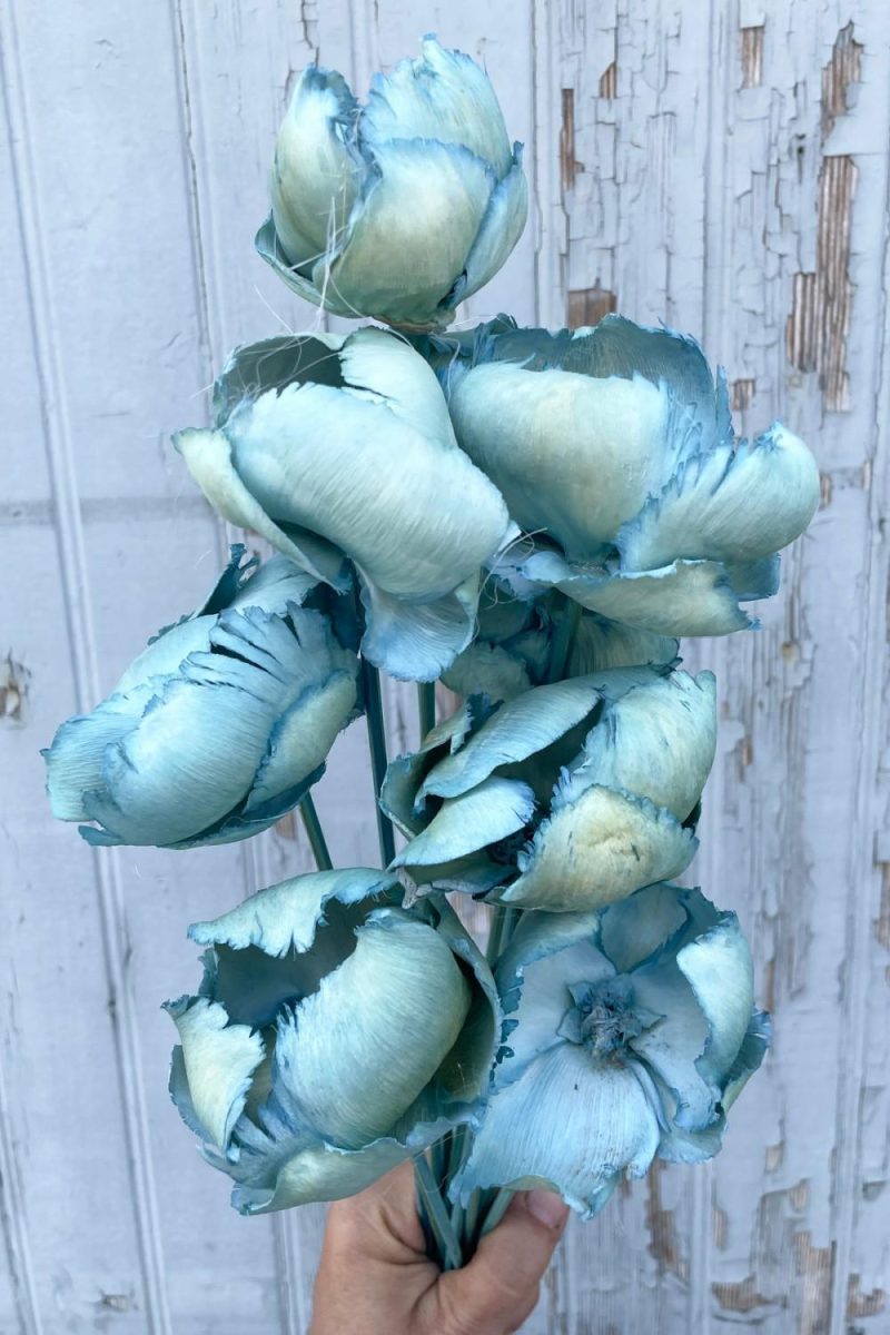 Preserved Floral |   Palm Cap Baby Blue Pastel Preserved Bunch Floral Preserved Floral