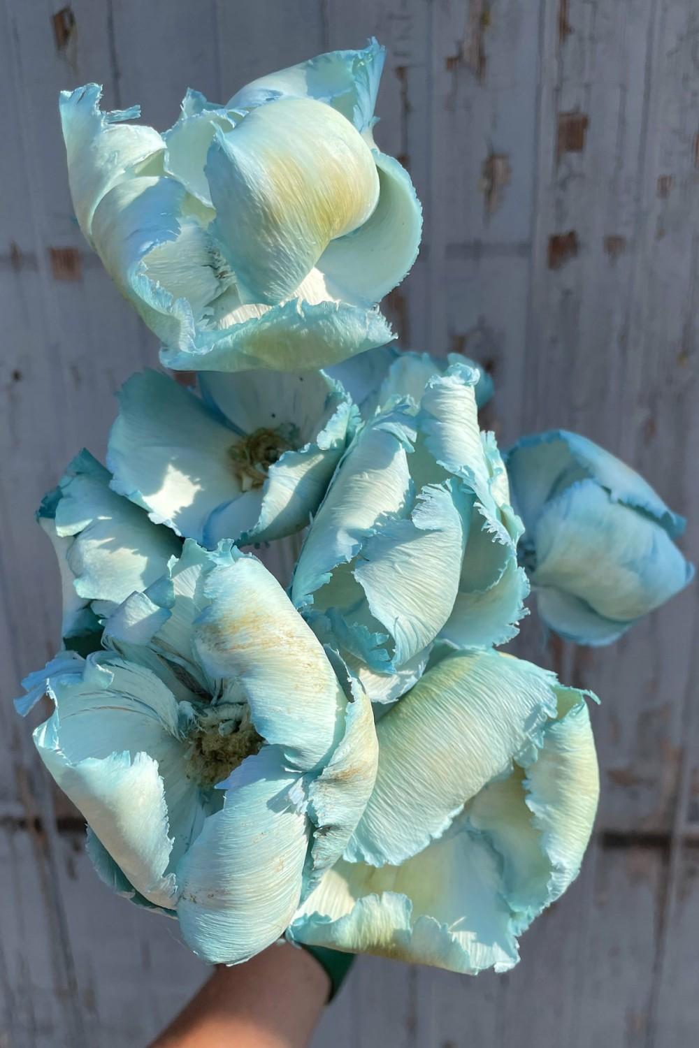 Preserved Floral |   Palm Cap Gray Blue Pastel Preserved Bunch Floral Preserved Floral