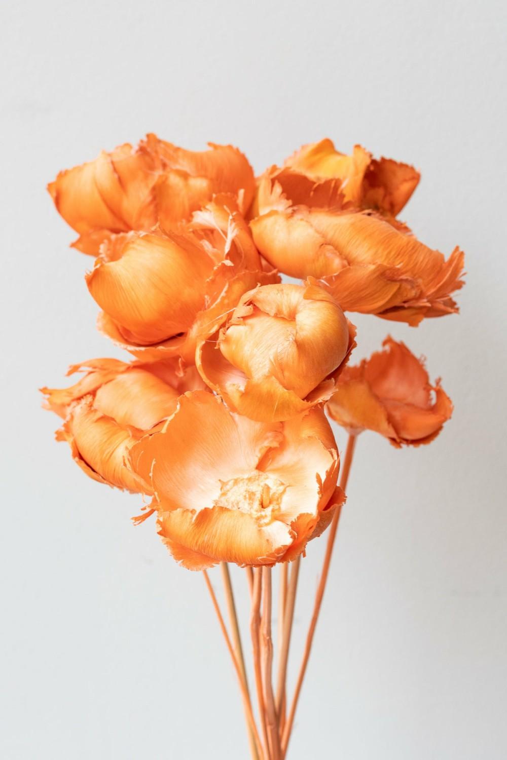 Preserved Floral |   Palm Cap Peach Pastel Preserved Bunch Floral Preserved Floral