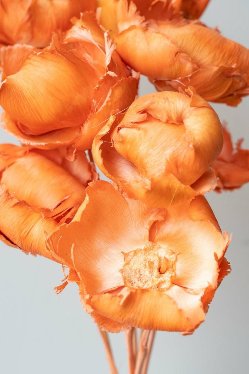 Preserved Floral |   Palm Cap Peach Pastel Preserved Bunch Floral Preserved Floral