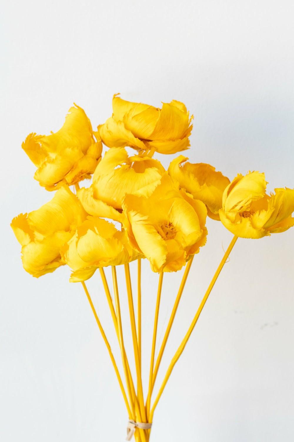 Preserved Floral |   Palm Cap Yellow Pastel Preserved Bunch Floral Preserved Floral