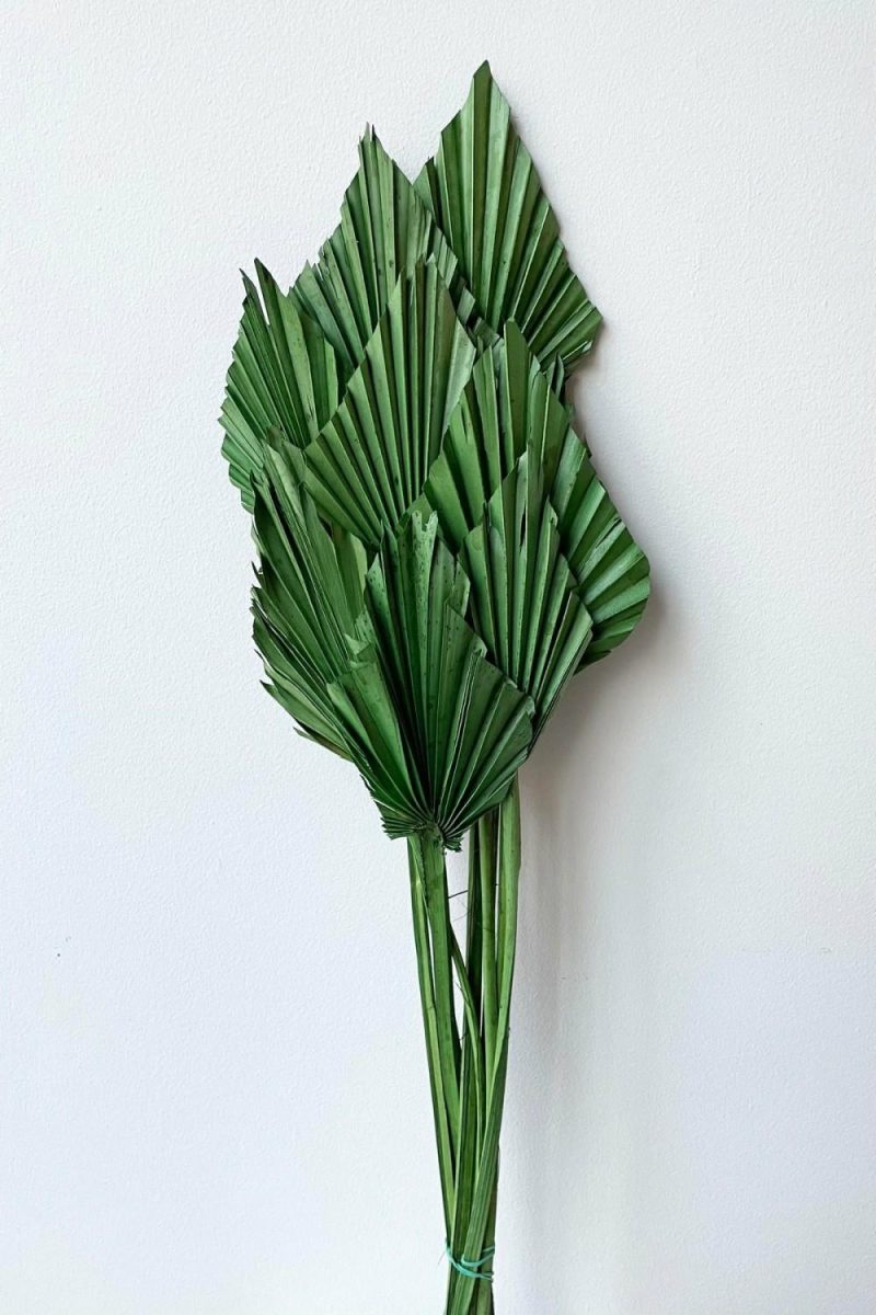 Preserved Floral |   Palm Spear Dark Green Color Preserved Bunch Floral Preserved Floral