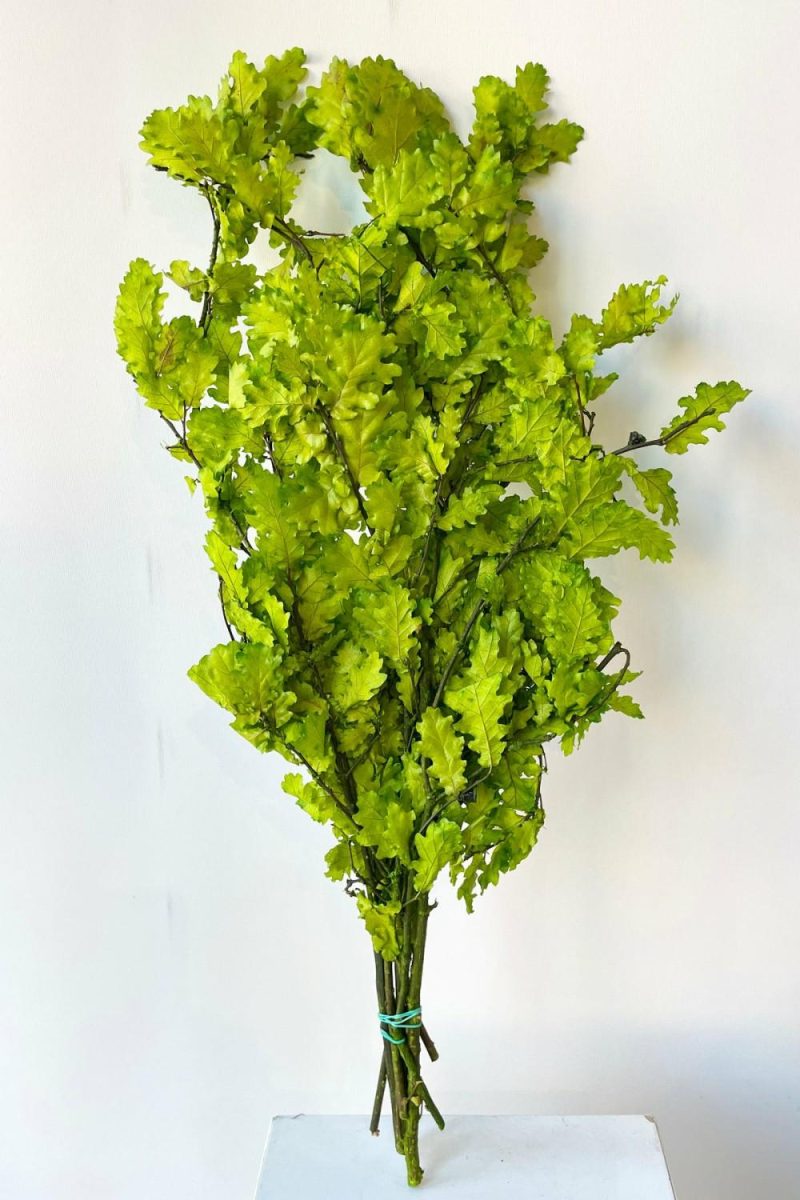 Preserved Floral |   Quercus Extra Chartreuse Color Preserved Bunch Floral Preserved Floral