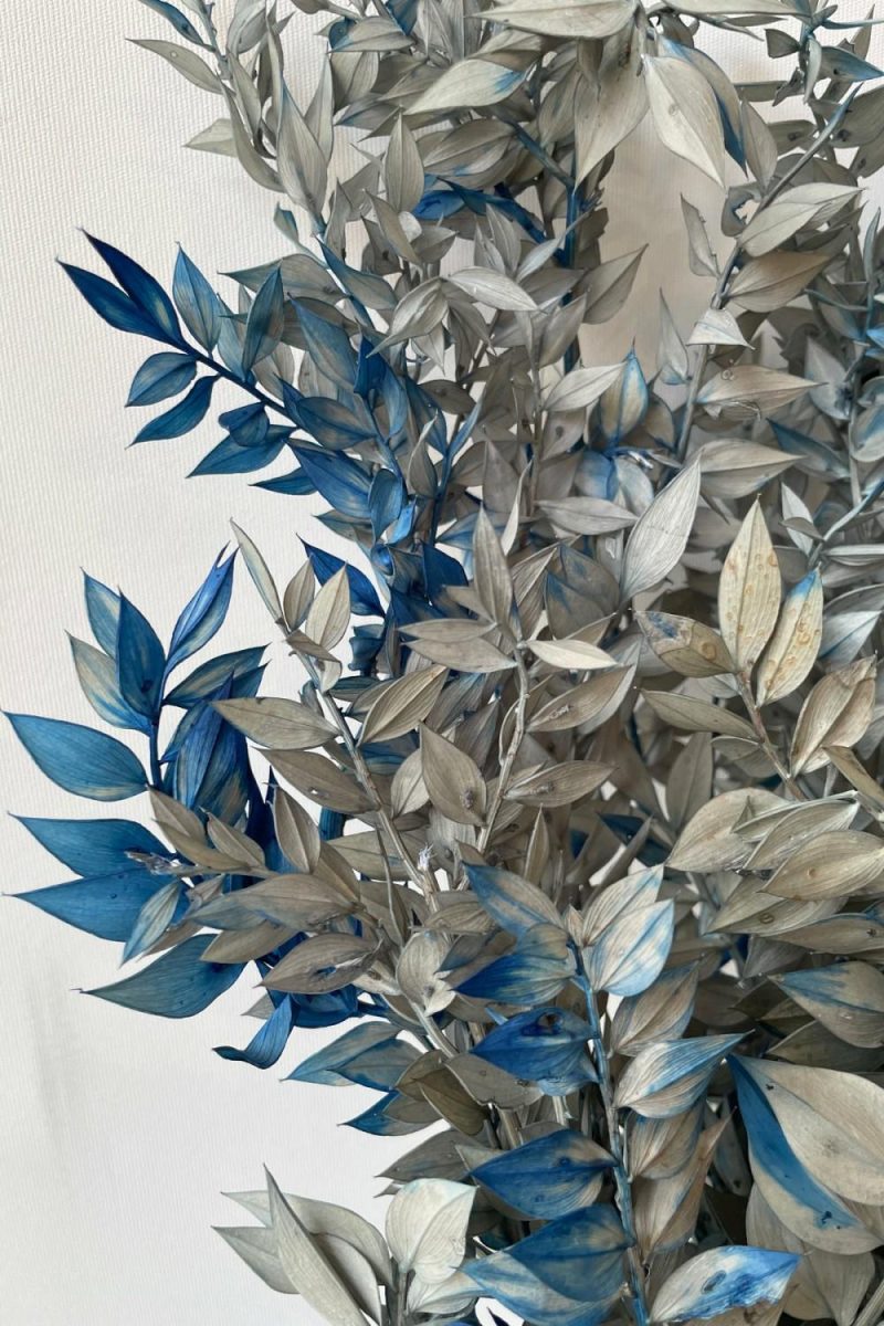 Preserved Floral |   Ruscus Gray W/ Blue Tinted Preserved Bunch Floral Preserved Floral