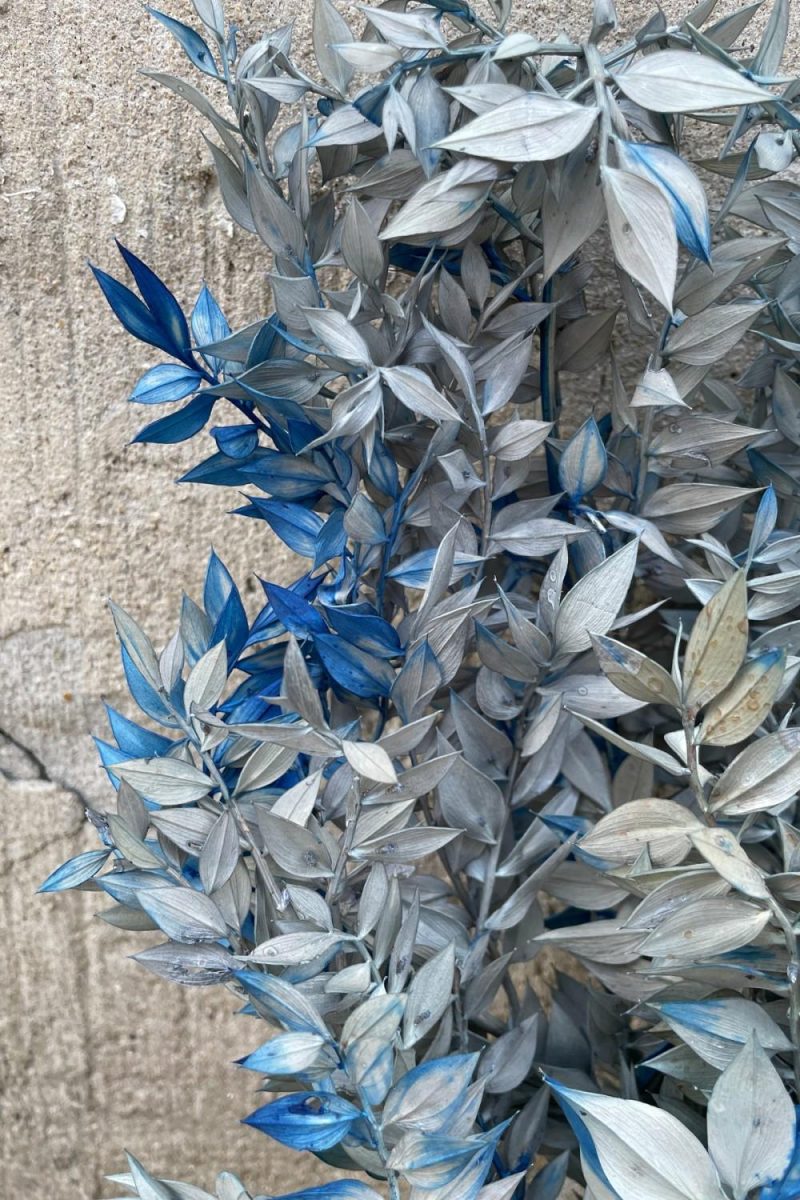 Preserved Floral |   Ruscus Gray W/ Blue Tinted Preserved Bunch Floral Preserved Floral