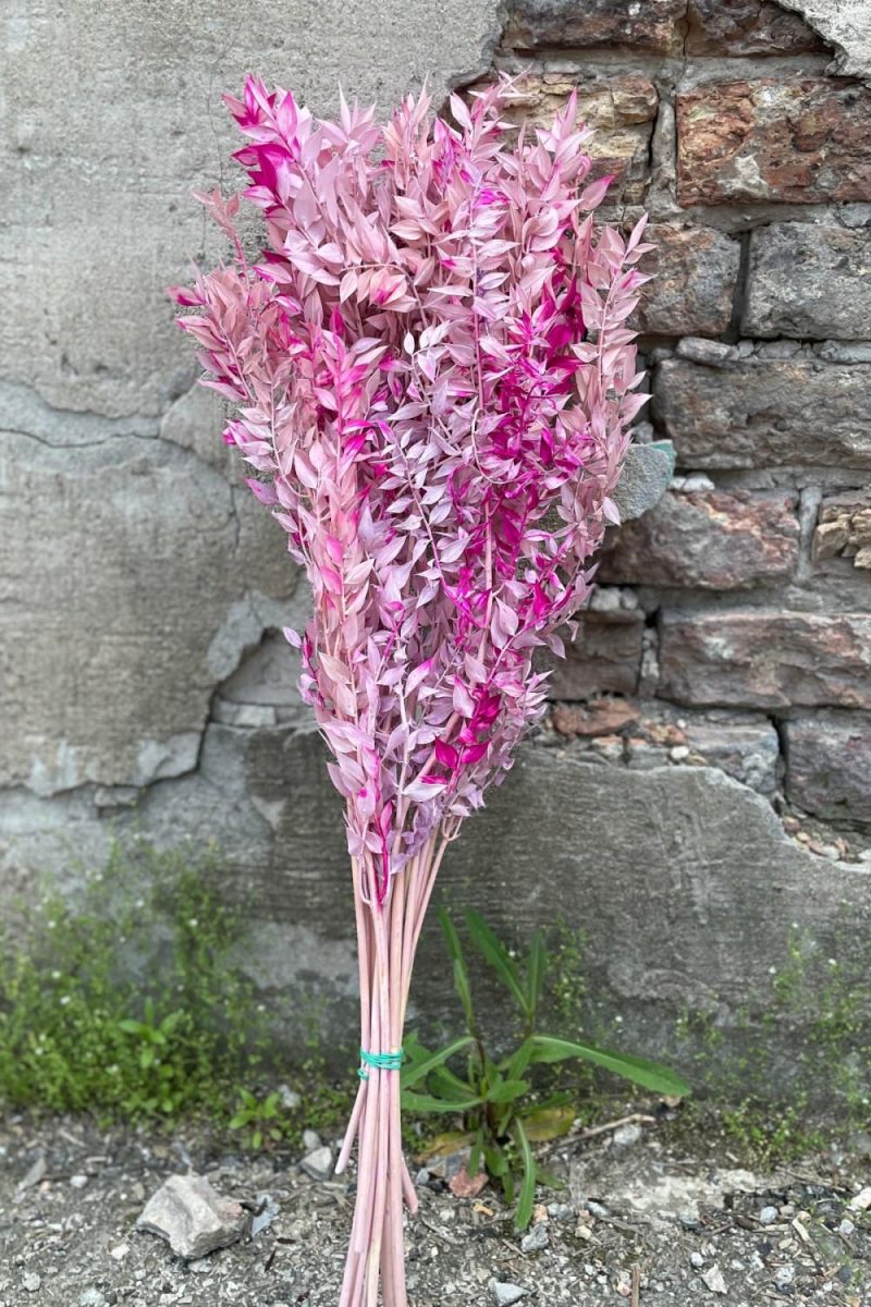 Preserved Floral |   Ruscus Lavender W/Pink Tinted Preserved Bunch Floral Preserved Floral