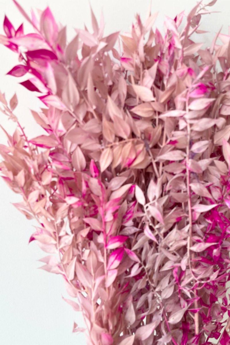 Preserved Floral |   Ruscus Lavender W/Pink Tinted Preserved Bunch Floral Preserved Floral