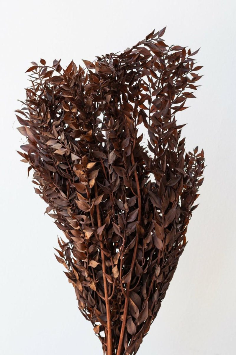 Preserved Floral |   Ruscus Rust Color Preserved Bunch Floral Preserved Floral