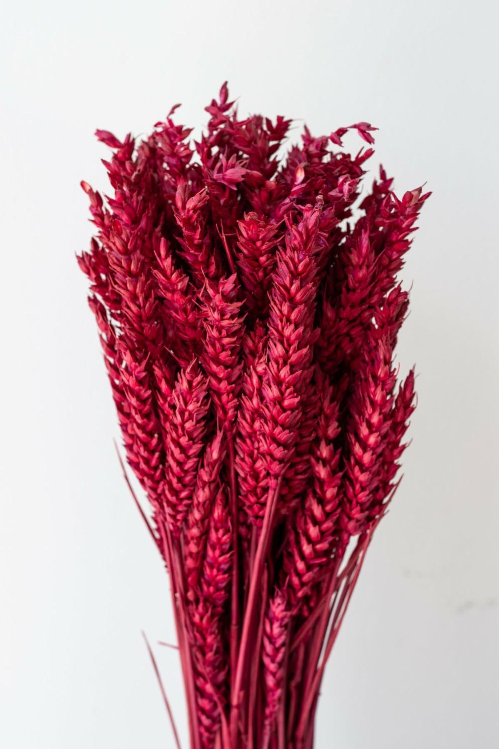 Preserved Floral |   Trigo Ruby Color Preserved Bunch Floral Preserved Floral