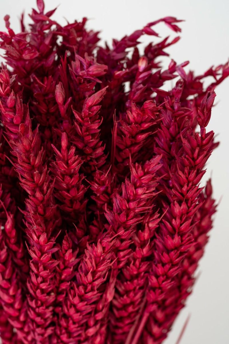 Preserved Floral |   Trigo Ruby Color Preserved Bunch Floral Preserved Floral