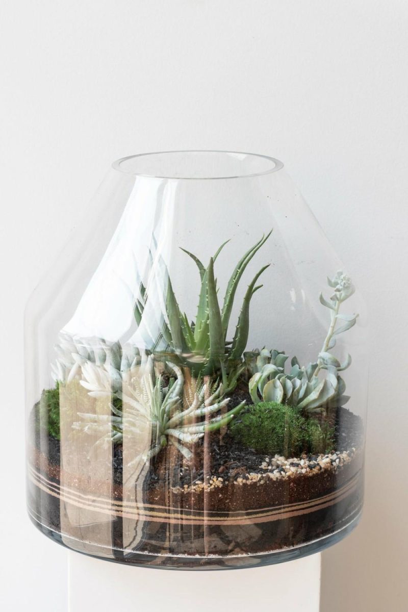 Terrariums & Constructions |   Silo Planted Terrarium Garden Terrariums & Constructions