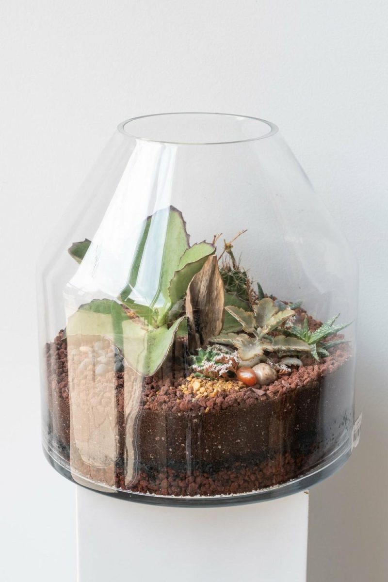 Terrariums & Constructions |   Silo Planted Terrarium Garden Terrariums & Constructions