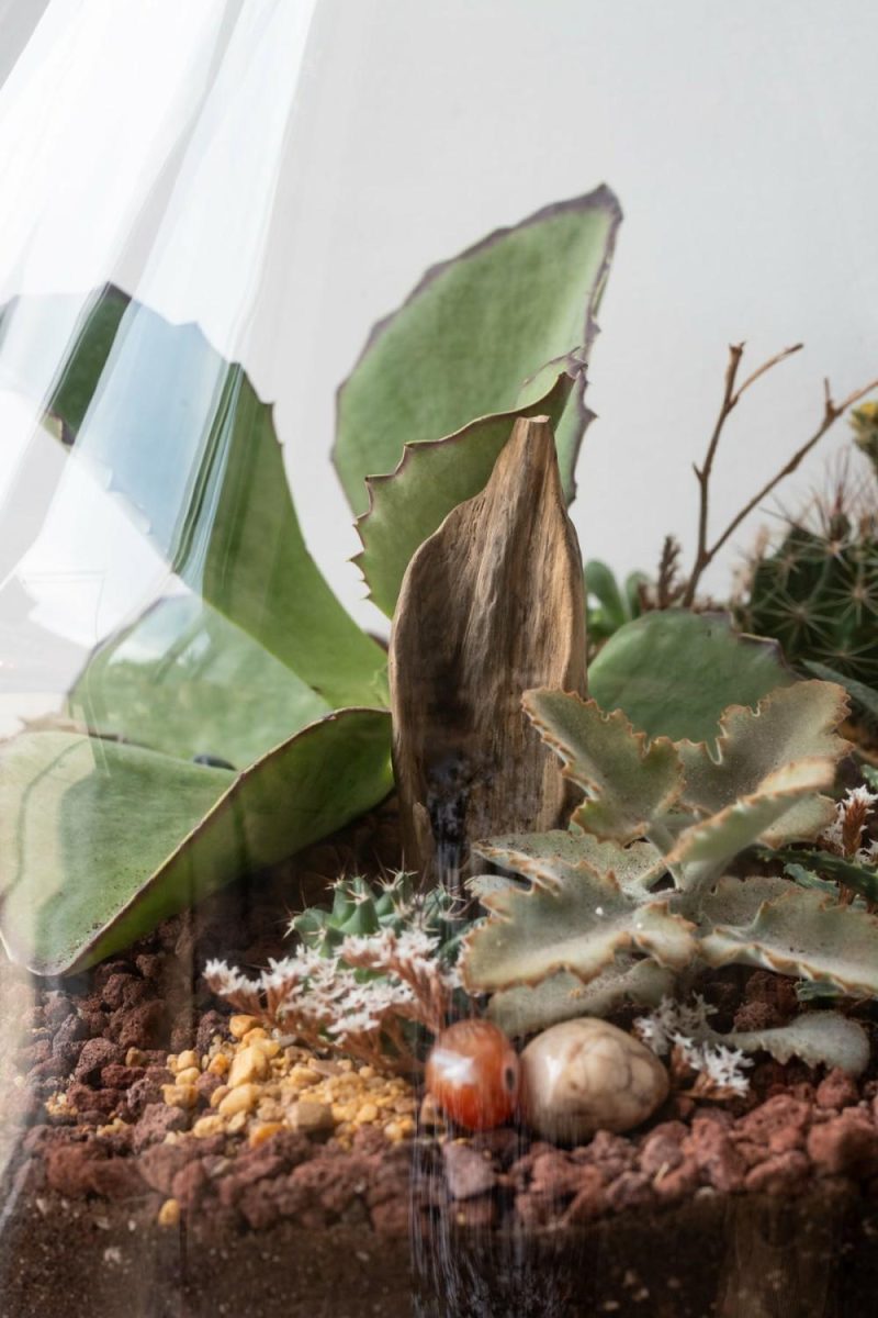 Terrariums & Constructions |   Silo Planted Terrarium Garden Terrariums & Constructions