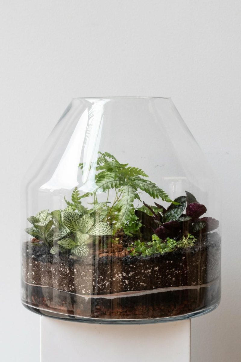 Terrariums & Constructions |   Silo Planted Terrarium Garden Terrariums & Constructions