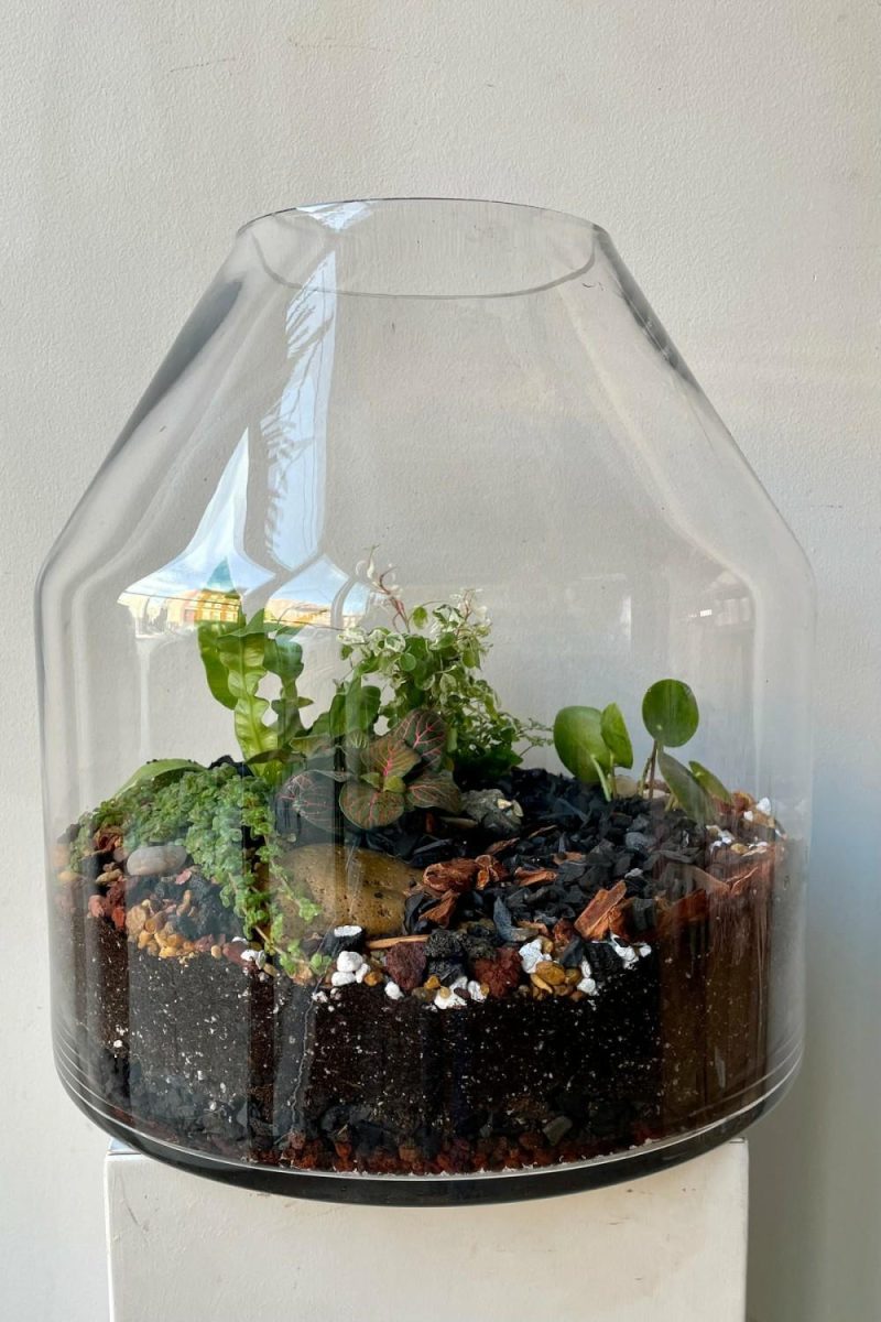 Terrariums & Constructions |   Silo Planted Terrarium Garden Terrariums & Constructions