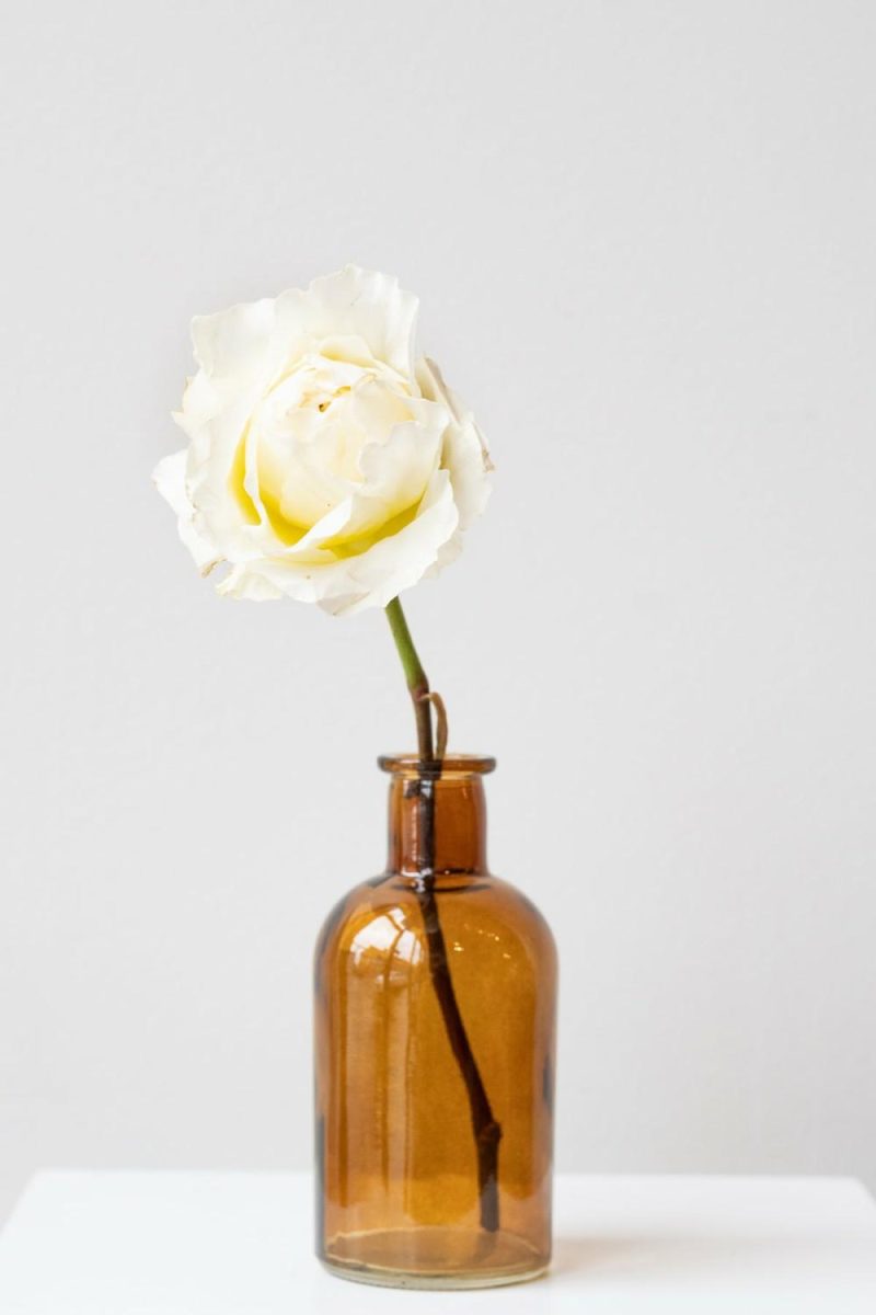 Vases |   Medicine Bud Vase – Amber Floral Vases