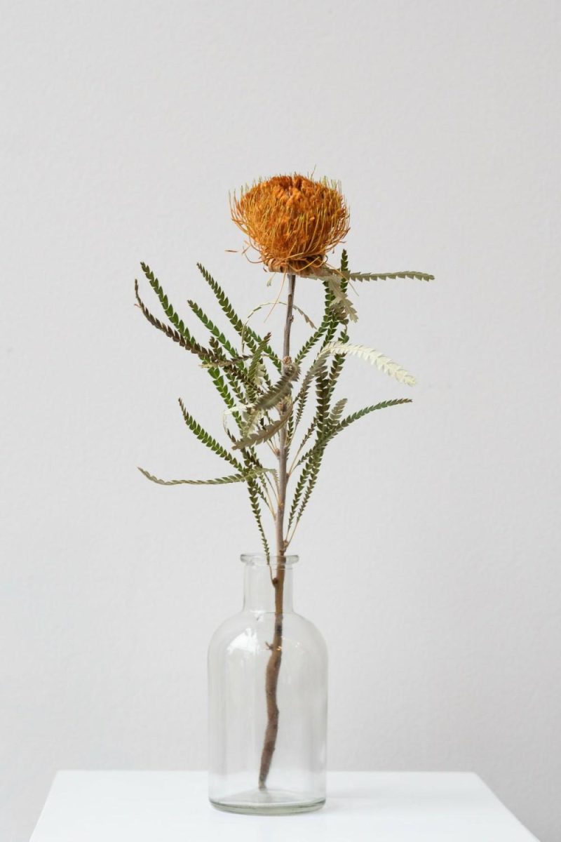 Vases |   Medicine Bud Vase – Clear Floral Vases