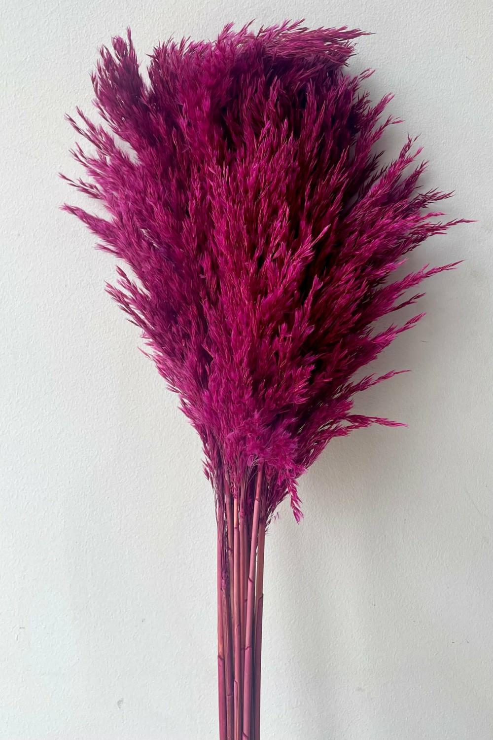 Preserved Floral |   Cane Aroundo Fuchsia Color Preserved Bunch Floral Preserved Floral